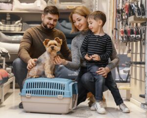 Pets Relocation