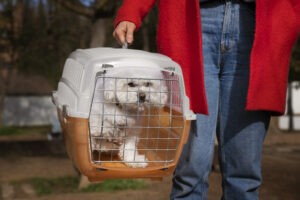 pet-carrier